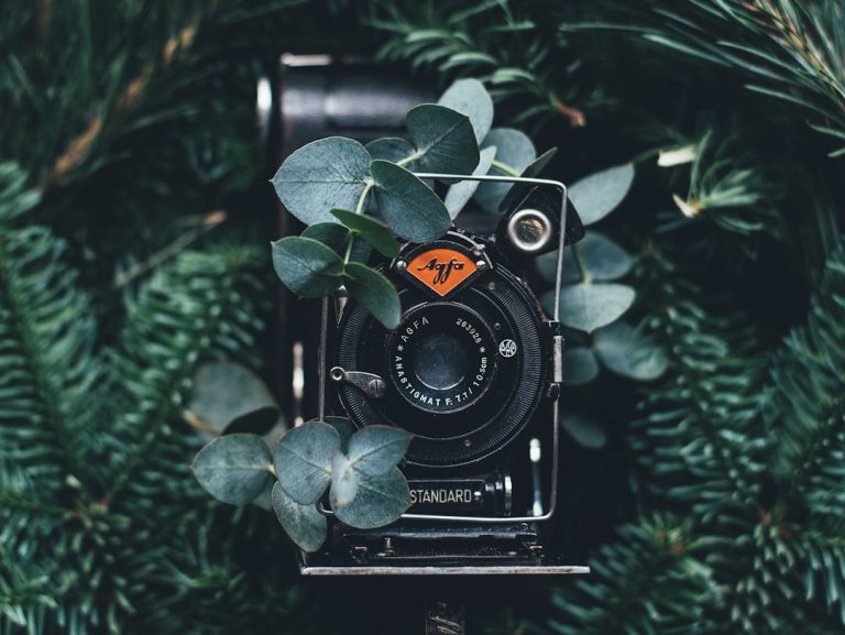 The Surprising Art of Capturing Moments with Unconventional Photography Equipment